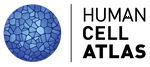 The Human Cell Atlas