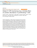 Global 3' UTR shortening has a limited effect on protein abundance in proliferating T cells