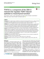 TFAP2A is a component of the ZEB1/2 network that regulates TGFB1-induced epithelial to mesenchymal transition