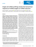 Single-cell mRNA profiling reveals the hierarchical response of miRNA targets to miRNA induction