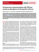 Terminal exon characterization with TECtool reveals an abundance of cell-specific isoforms