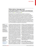 Alternative cleavage and polyadenylation in health and disease