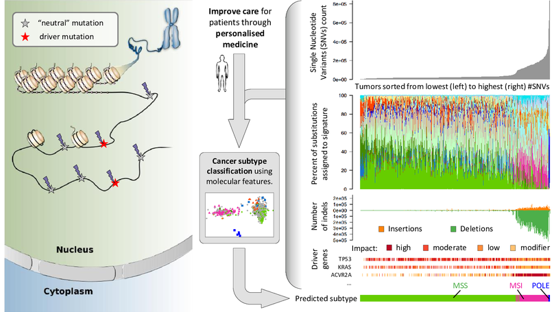 Identification of molecular cancer subtypes